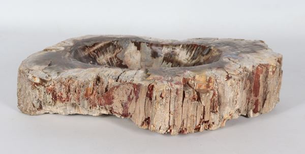 Oval shaped fossil