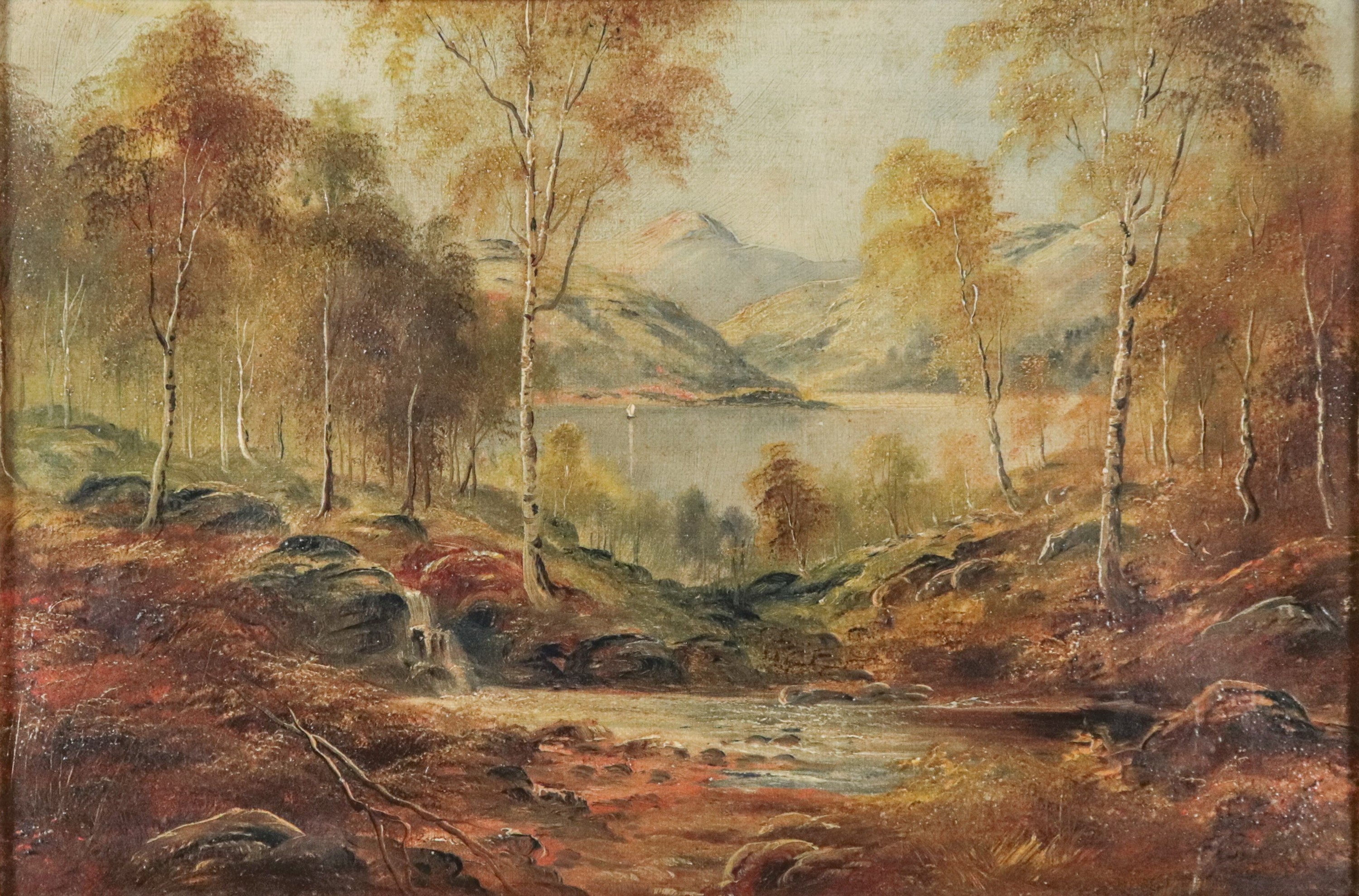 "Paesaggio alpino con bosco e corso d'acqua"