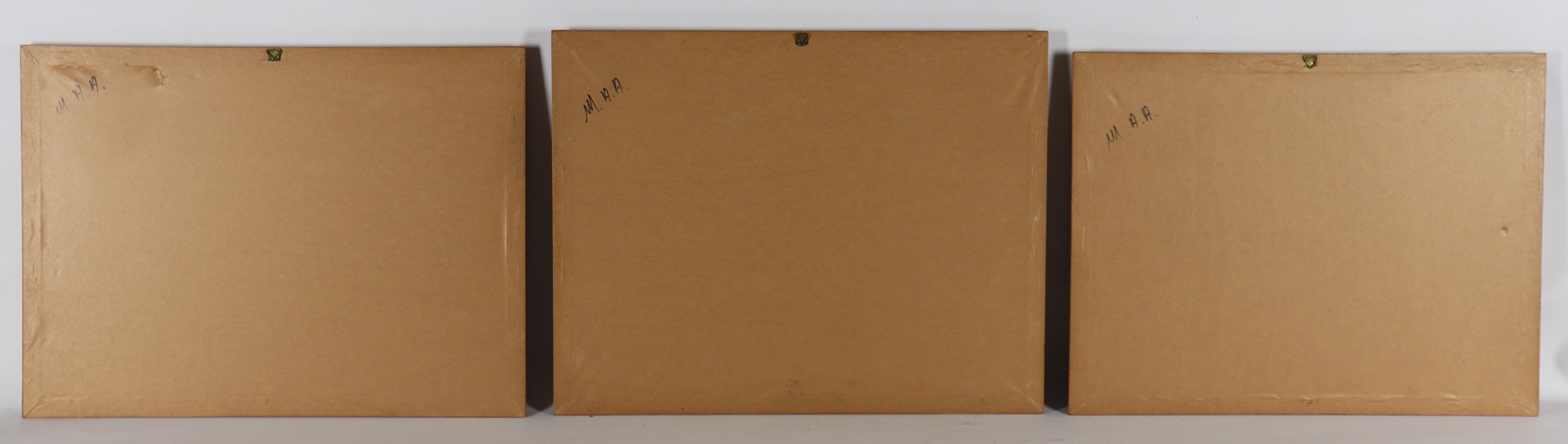 "Vedute di paesi nordici"