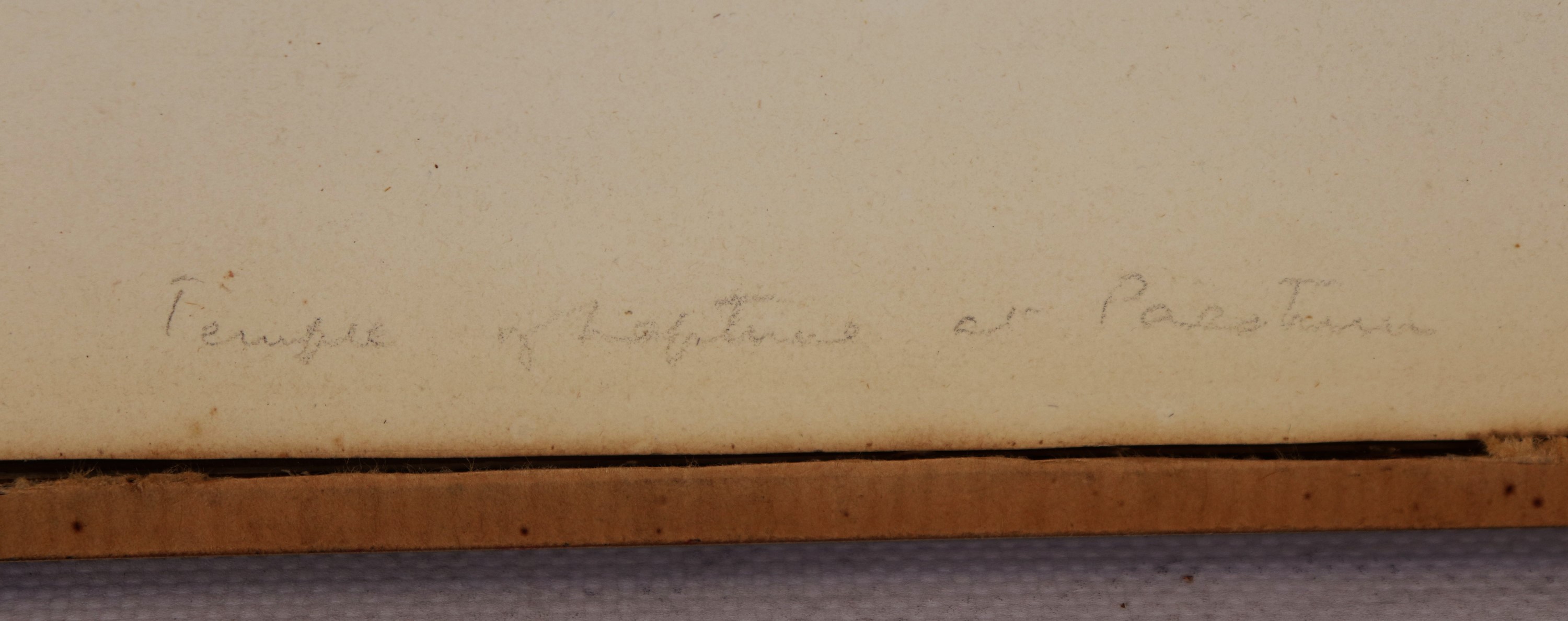 "Veduta del Tempio di Poseidone a Paestum"