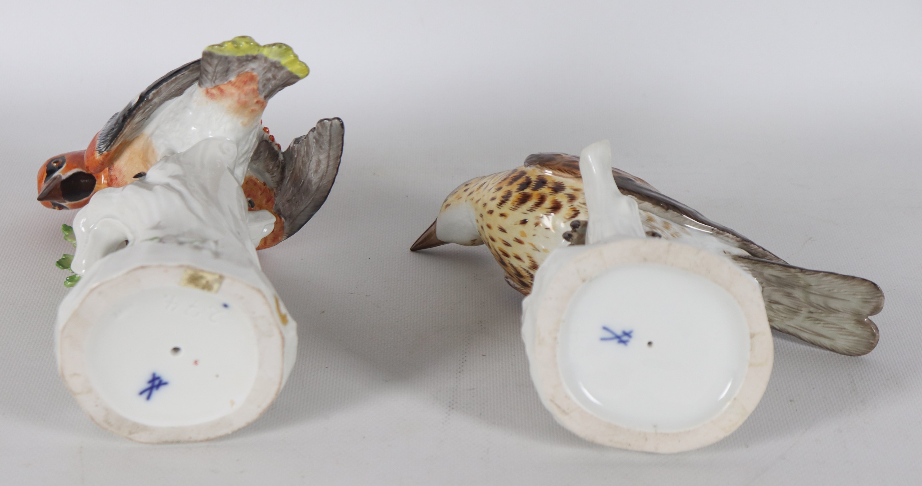 "Tordo del ginepro e beccofrusone", coppia di piccole sculture in porcellana Meissen smaltata e p...