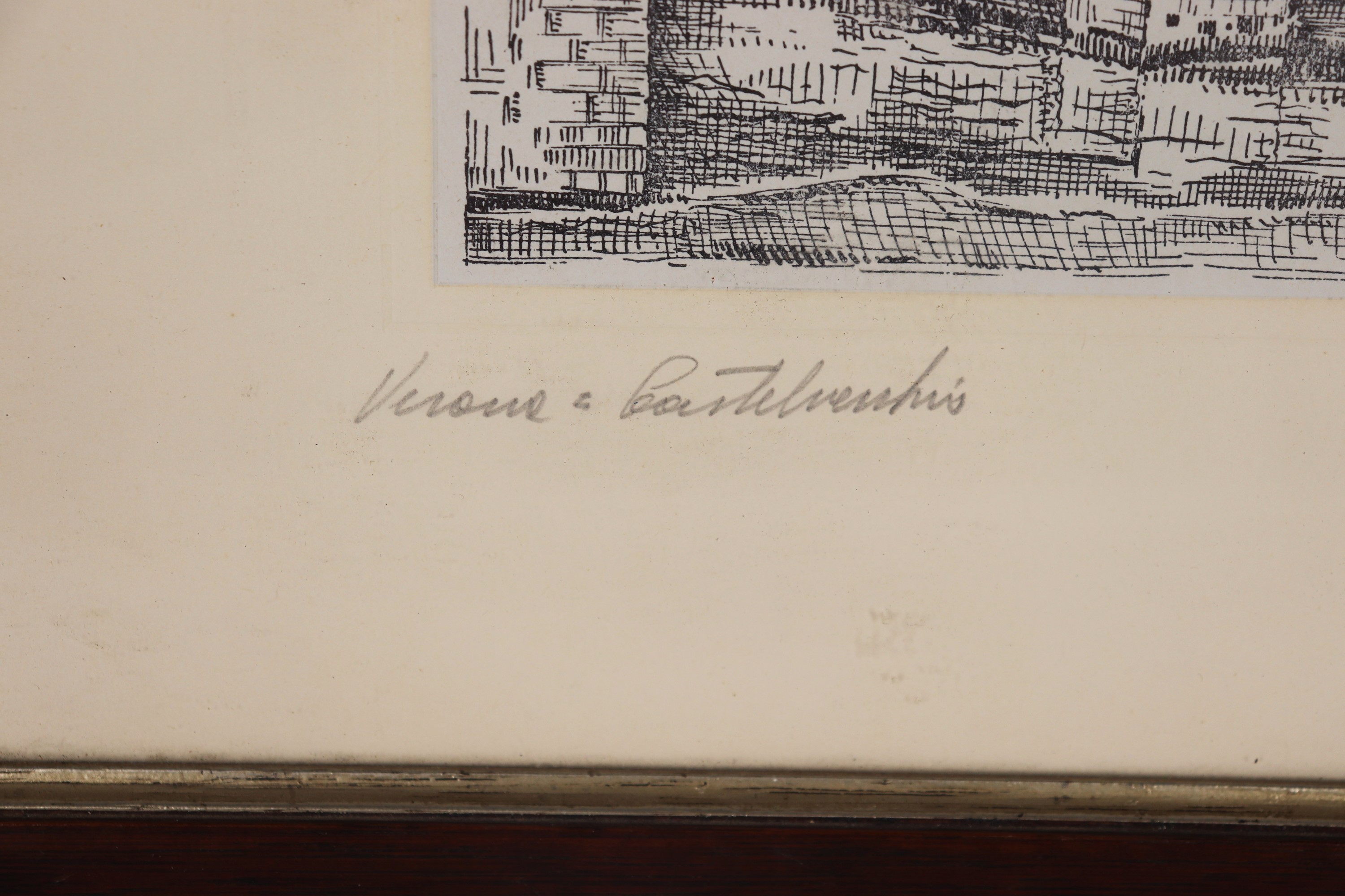 "Castelvecchio a Verona"