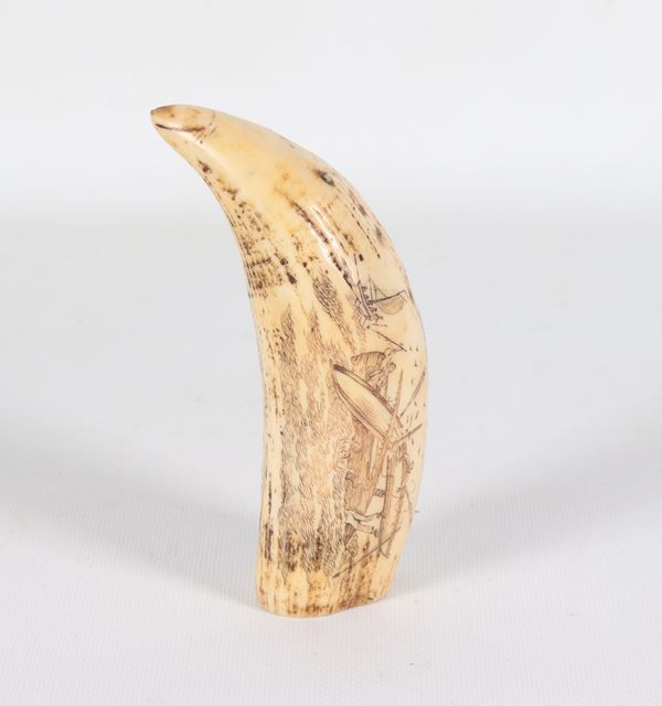 Dente di capodoglio della baleniera "Bark Veronica"