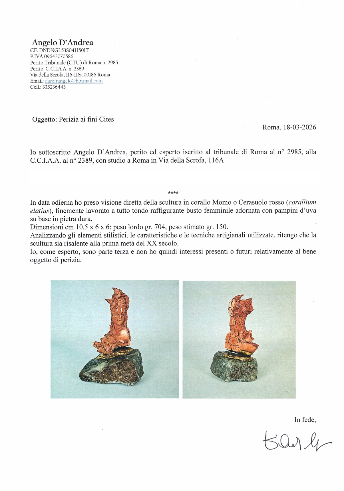 Scultura in corallo Momo o Cerasuolo rosso 'Busto femminile adornata con pampini d'uva' su base i...