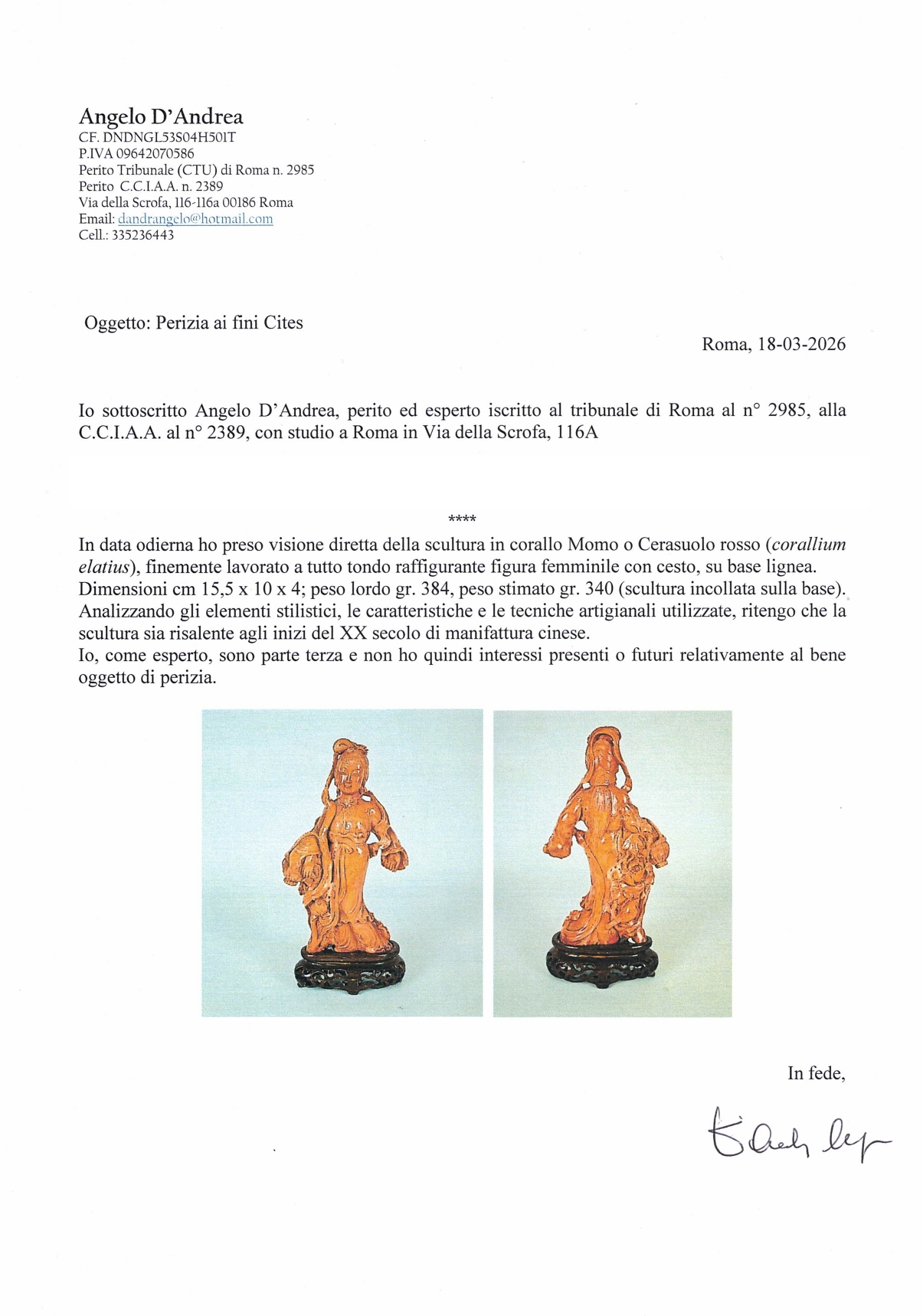 Scultura in corallo Momo o Cerasuolo rosso 'Figura femminile con cesto' su base in teak