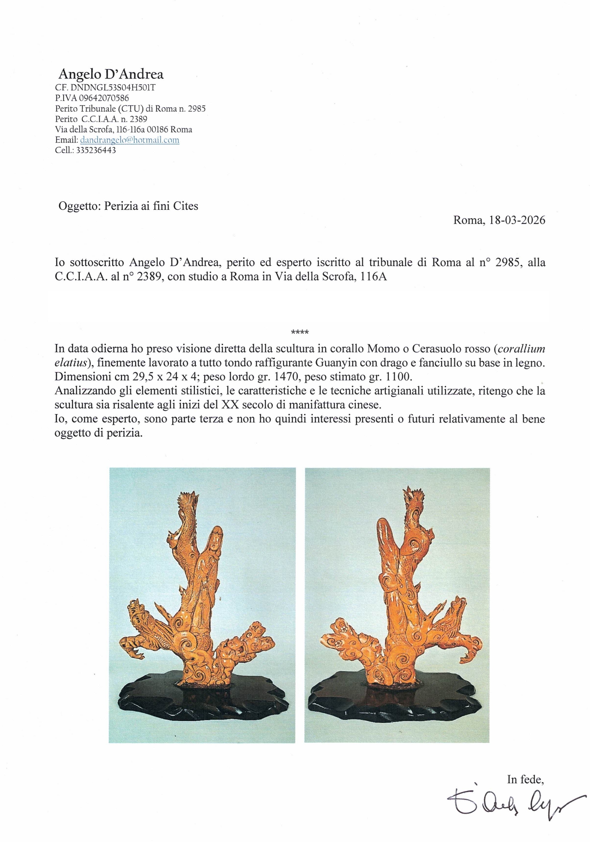 Scultura in corallo Momo o Cerasuolo rosso 'Guanyin con drago e fanciullo' su base in teak