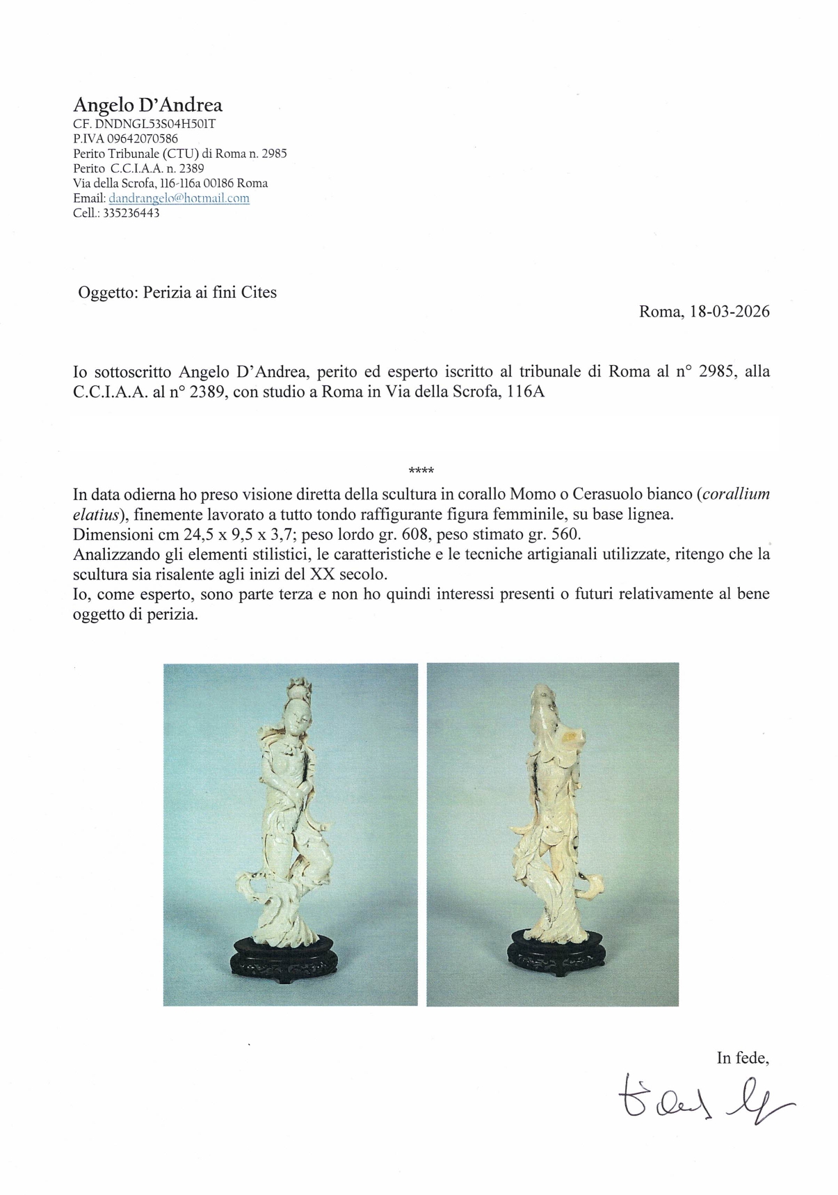 Scultura in corallo Momo o Cerasuolo bianco 'Figura femminile' su base in teak