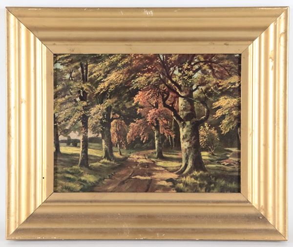Pittore Italiano Inizio XX Secolo - "Woodland Landscape with Path"