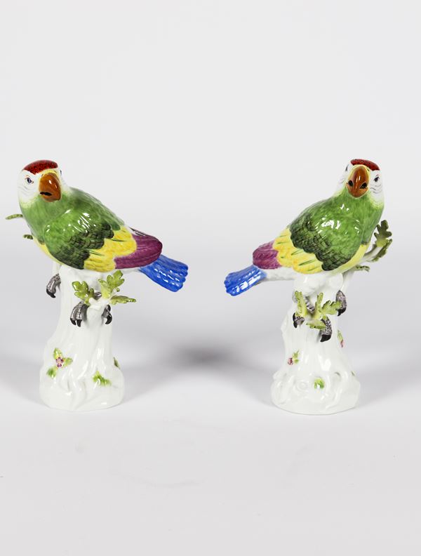 Pair of small sculptures in polychrome and enamelled porcelain Meissen &quot;Parrots on tree trunks&quot;