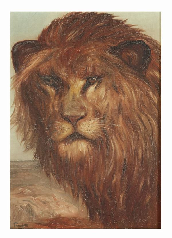 Scuola Italiana Inizio XX Secolo - "Testa di leone". Firmato Trombetti 1908, piccolo dipinto ad olio