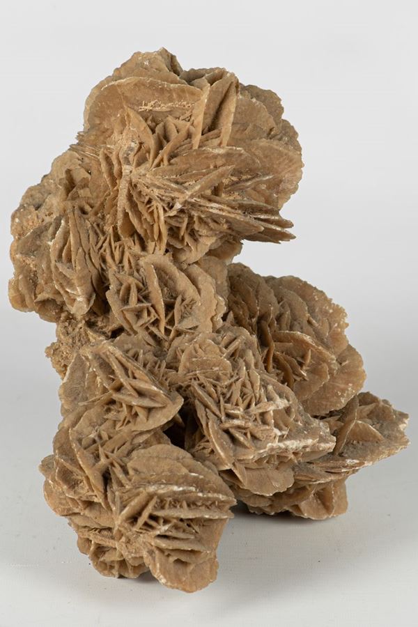 &quot;Desert Rose&quot;