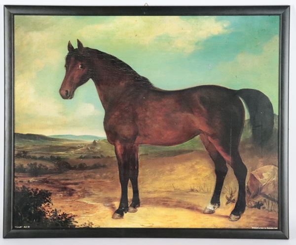 &quot;English foal&quot; color print