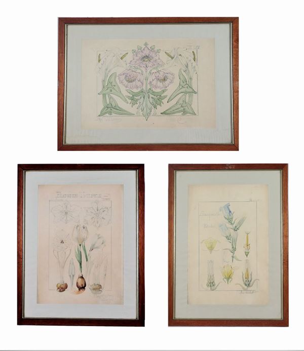 Lot of three antique prints "Medicinal plants"