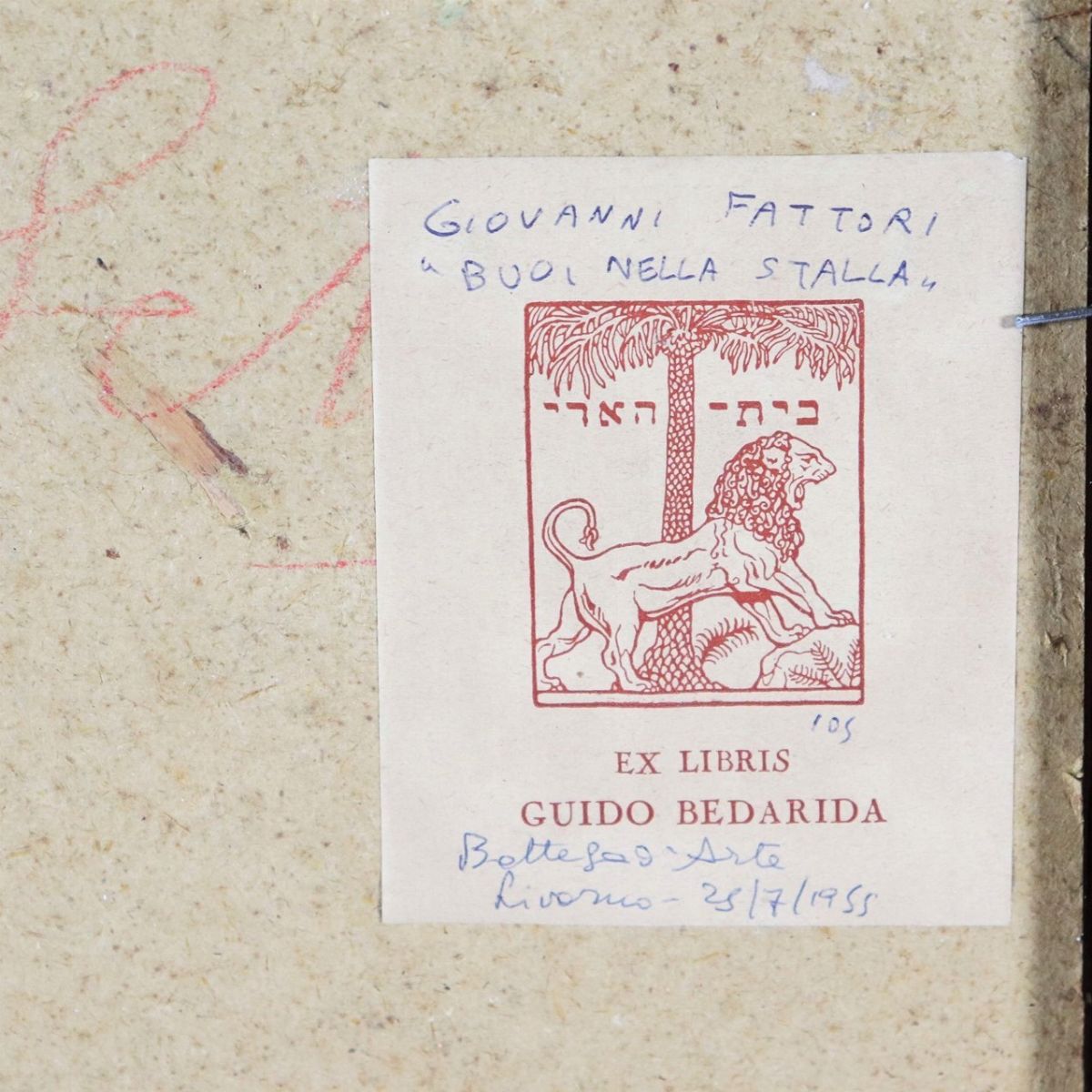 "Buoi nella stalla" piccolo dipinto ad olio su cartone