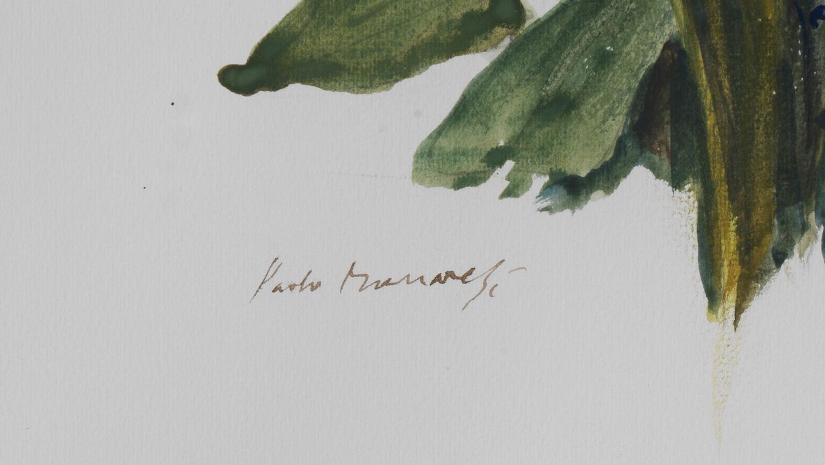 Firmato. "Fiori" acquarello su carta cm 46 x 34