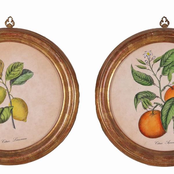 Pair of small round color prints "Branch with oranges and branch with lemons"