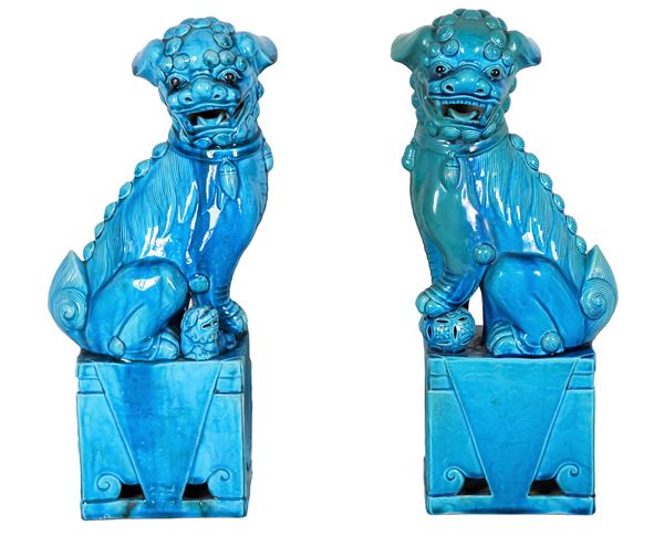 Coppia di sculture cinesi "Cani Foo" in porcellana azzurra