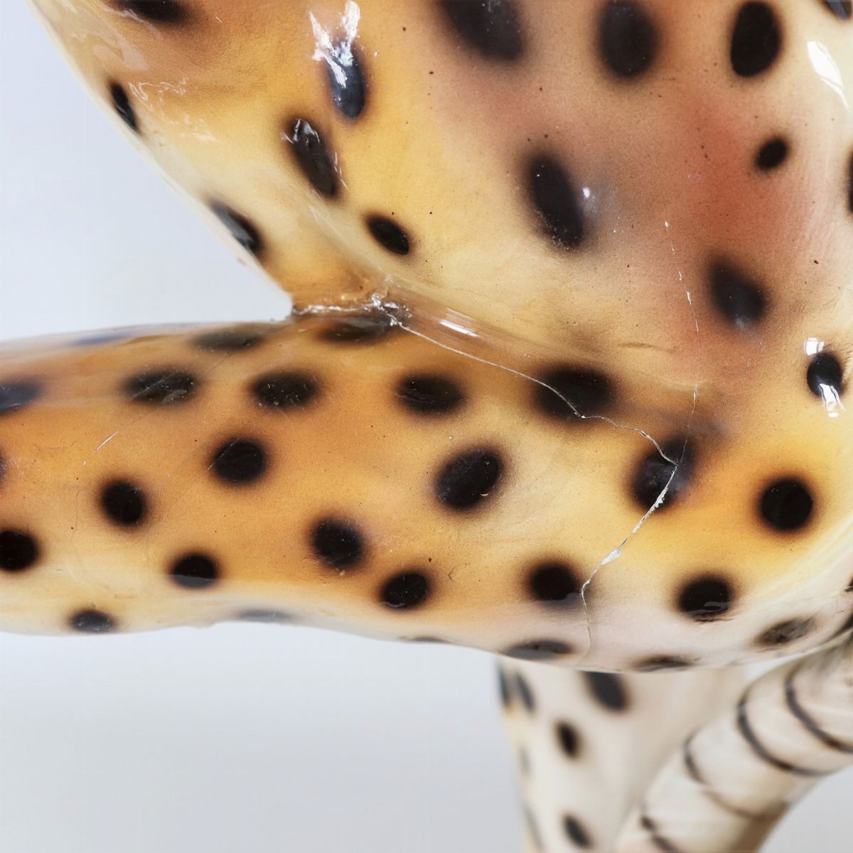 Lotto di due sculture in ceramica porcellanata e smaltata a varie policromie "Leopardo" e "Cuccio...