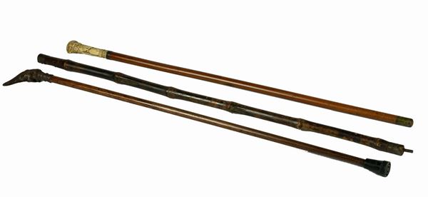Three walking sticks