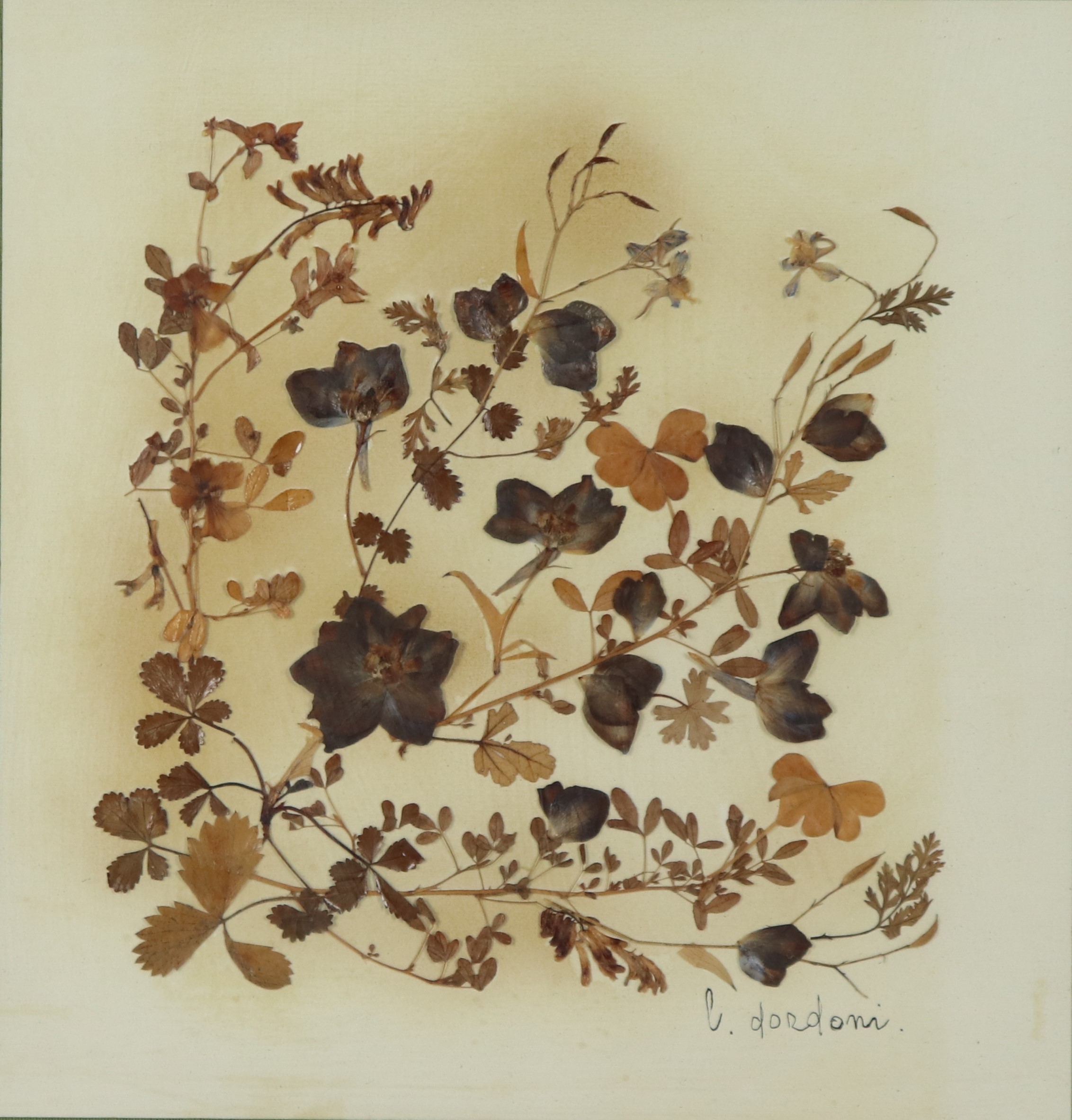 "Fiori e foglie autunnali"