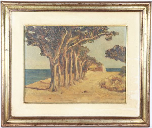 Gianna Jannoni Sebastianini -  Dated 1977. &quot;Maritime pines&quot;, oil painting on canvas, silvered wooden frame and passepartout