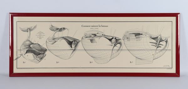 French print &quot;How boats are born&quot; in red lacquered frame