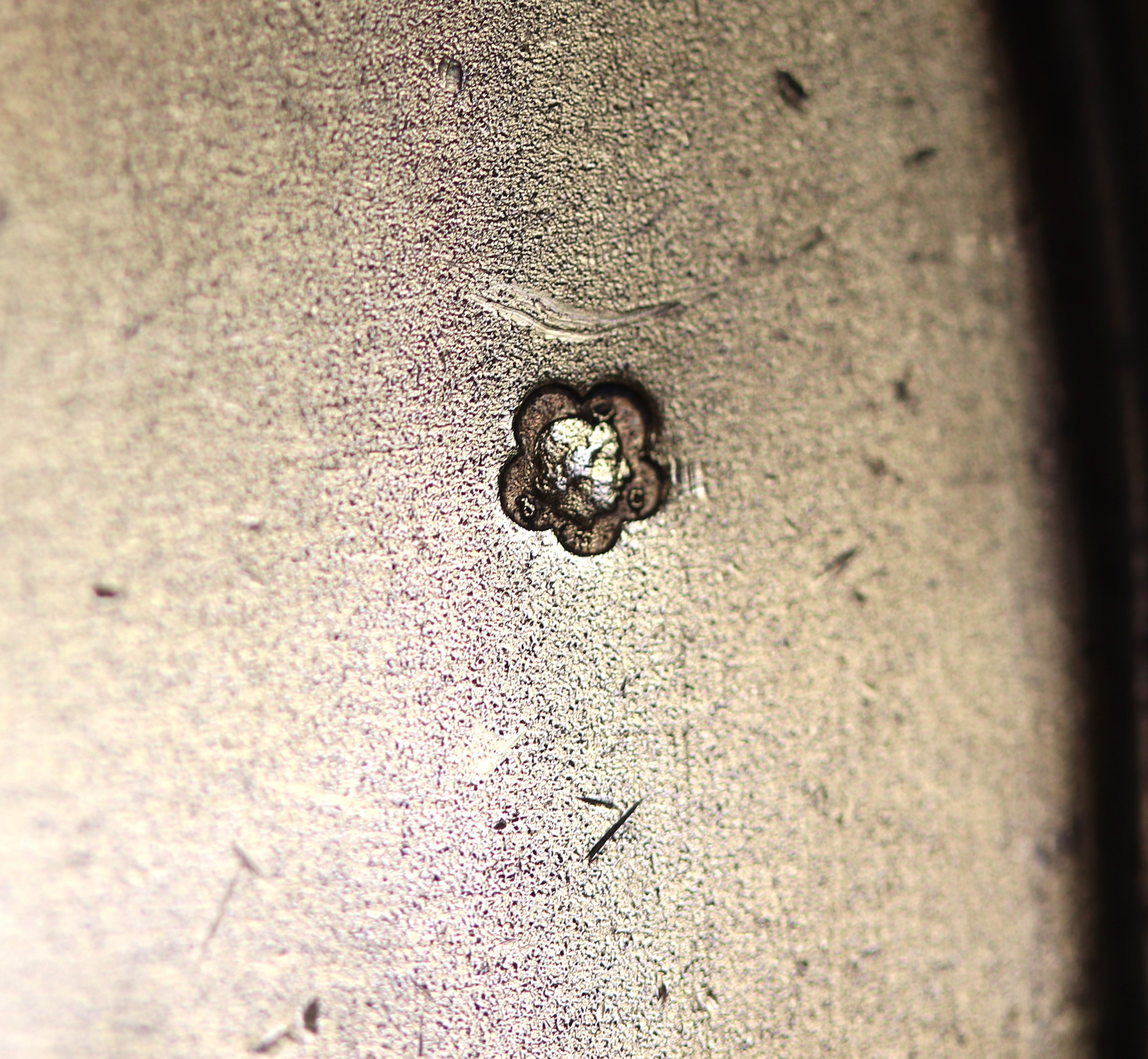 Antica tabacchiera francese in argento cesellato e sbalzato a volute e mazzetti di fiori, varie a...