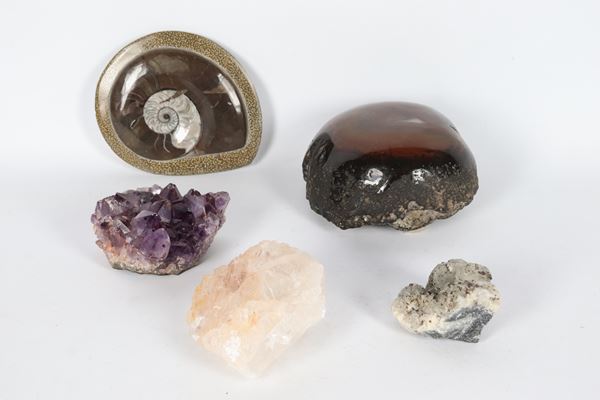Lotto di fossili e pietre dure (5 pz)