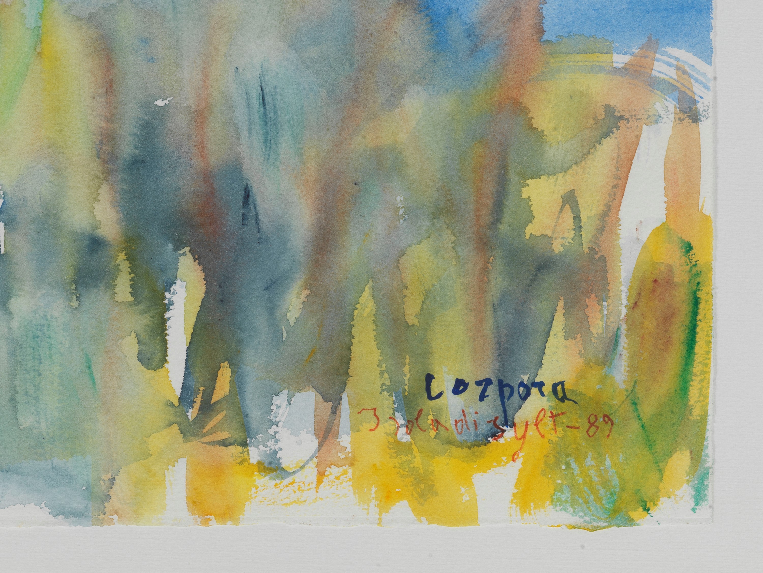 Firmato e datato 1989. "Isola di Sylt", acquarello su carta, cornice in legno argentato. L'opera ...